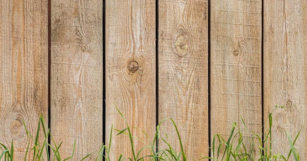 home Rentals Boundary Fences Who is responsible?